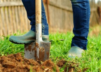 Грядки готують восени