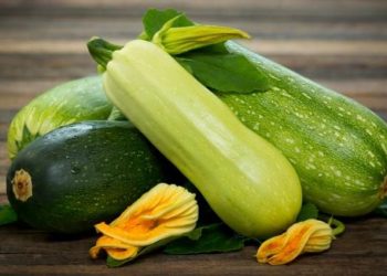 Секрети зберігання кабачків