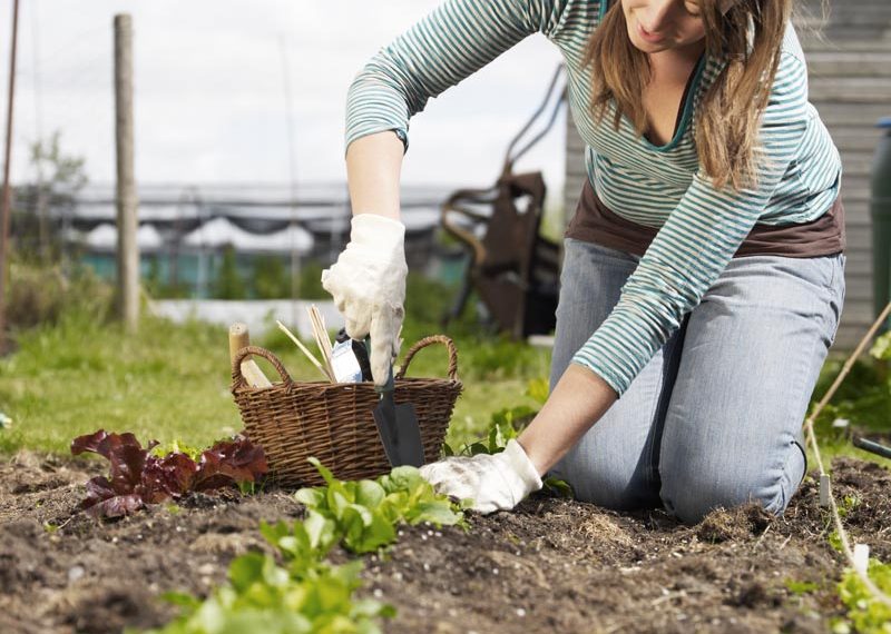 Як гроші заробити