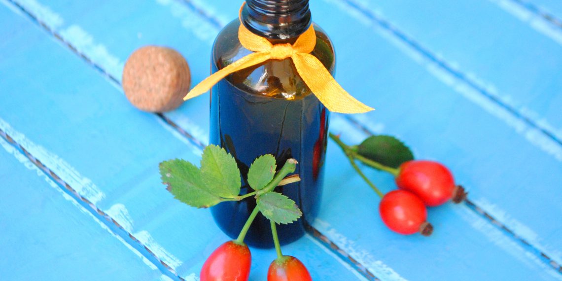 Молодість мені дарує шипшина