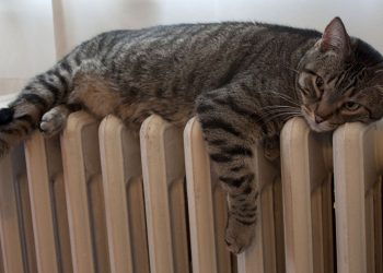 Готуємо батареї до тепла