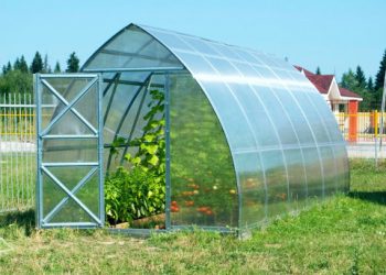 Теплиця йде на відпочинок