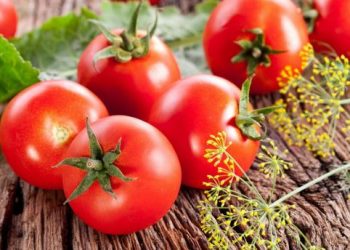 Помідори швидше почервоніють