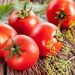 Помідори швидше почервоніють