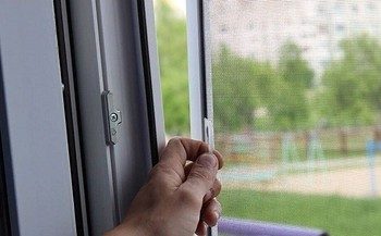 Що робити з москіткою