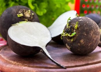 Яку редьку можна зберігати?