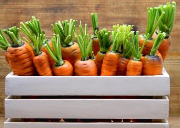 Чому розтріскується морква?