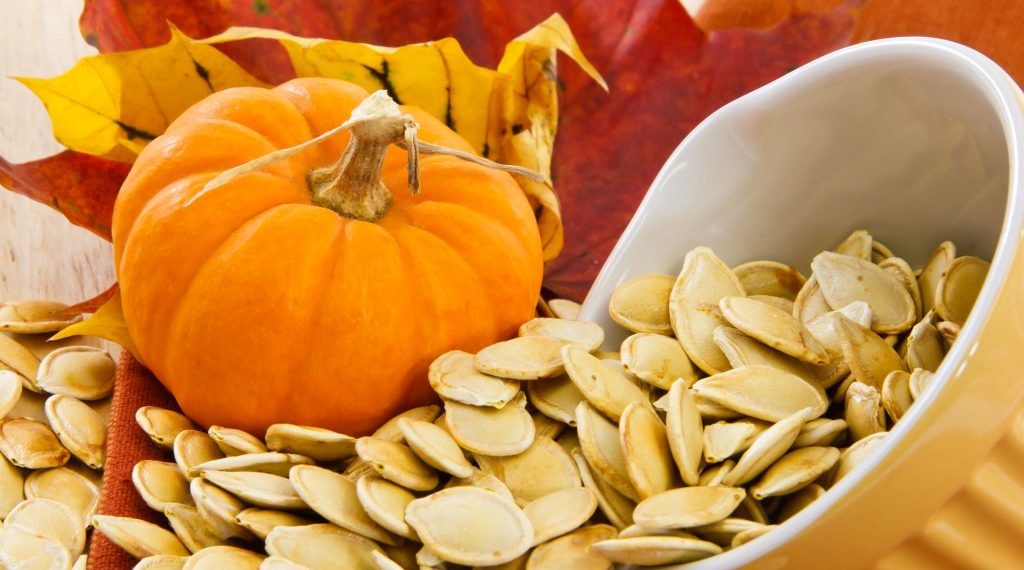 Як правильно збирати, сушити та зберігати гарбузове насіння