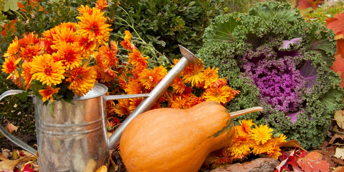 Листопад: сезонні роботи в саду й на городі