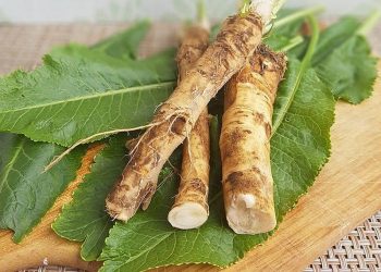 Хрін приживається завжди