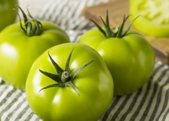 Як зберігати зелені помідори, щоб вони почервоніли