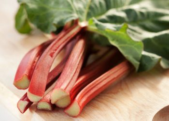 Із коренів ревеню приготуйте цілющий чай