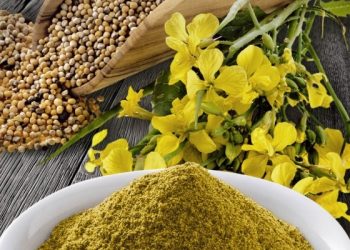 З гірчичної макухи — добриво