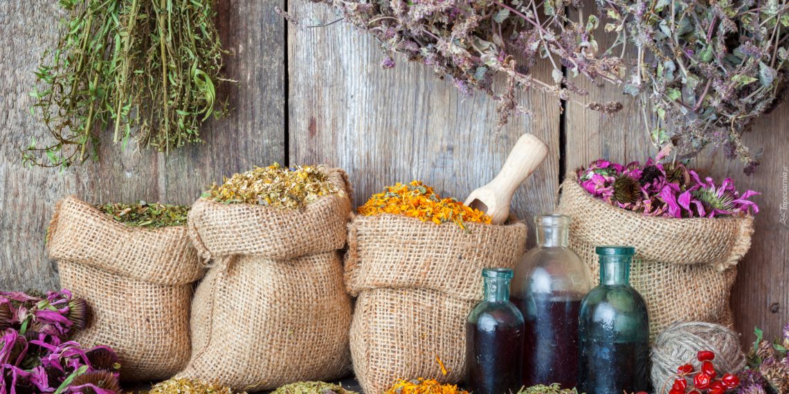 Лікарські та пряні трави за неправильного зберігання втрачають свої властивості