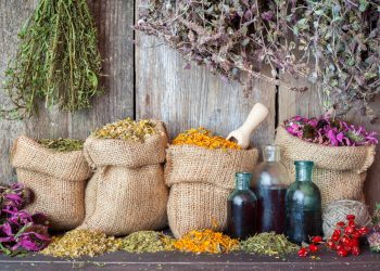 Лікарські та пряні трави за неправильного зберігання втрачають свої властивості