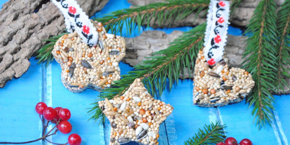 Сад для птахів: робимо їстівну годівничку