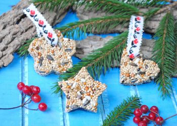 Сад для птахів: робимо їстівну годівничку