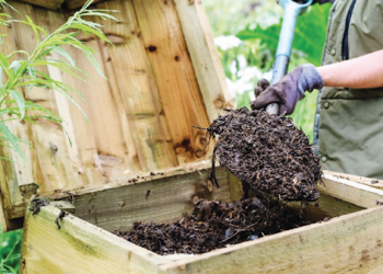 Компост підсолодіть варенням