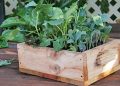Ящик для розсади з дерева