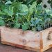 Ящик для розсади з дерева
