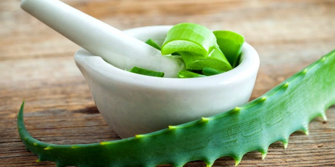 Алое від кашлю та нежитю