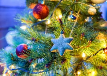 Ялинка згодиться й після свят