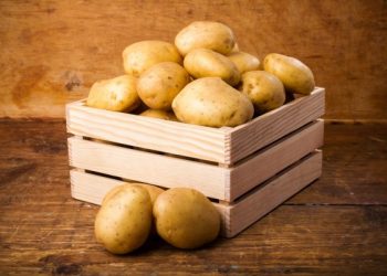 Чим хворіє картопля під час зберігання