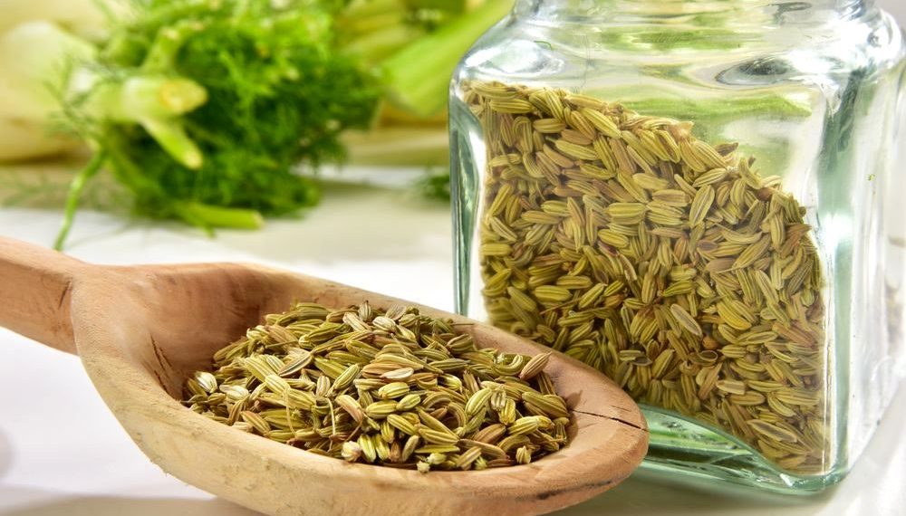 Лікування фенхелем: як приготувати чай від застуди та кропну воду