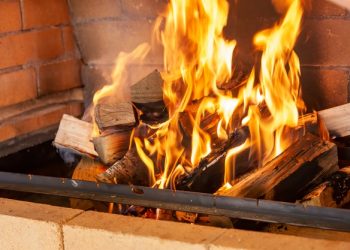 Якими дровами піч топити?