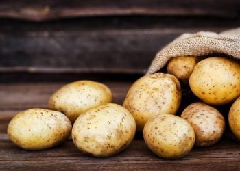 Як вберегти картоплю від замерзання