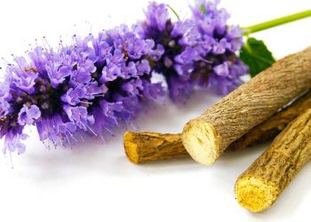 Ефект кореня солодки при ковіді