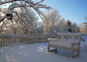 Лютий на городі, в саду та квітнику