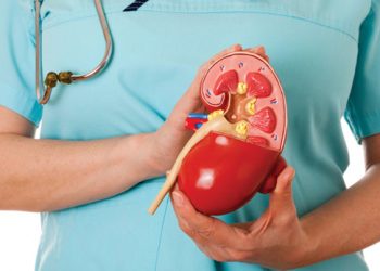 Камені в нирках: позбавляємося від баласту