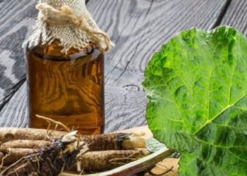 Настій від остеоартрозу