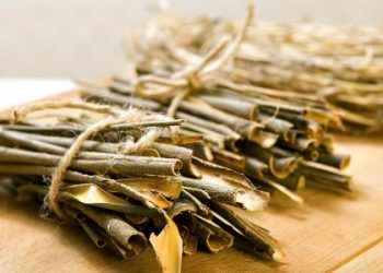 Ванни з кори верби допоможуть при варикозі