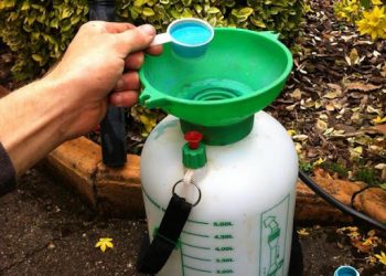 Землю стерилізуйте мідним купоросом