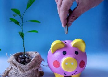 Секрети економії