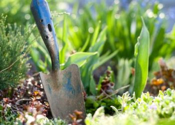 Квітень на городі, в саду та квітнику