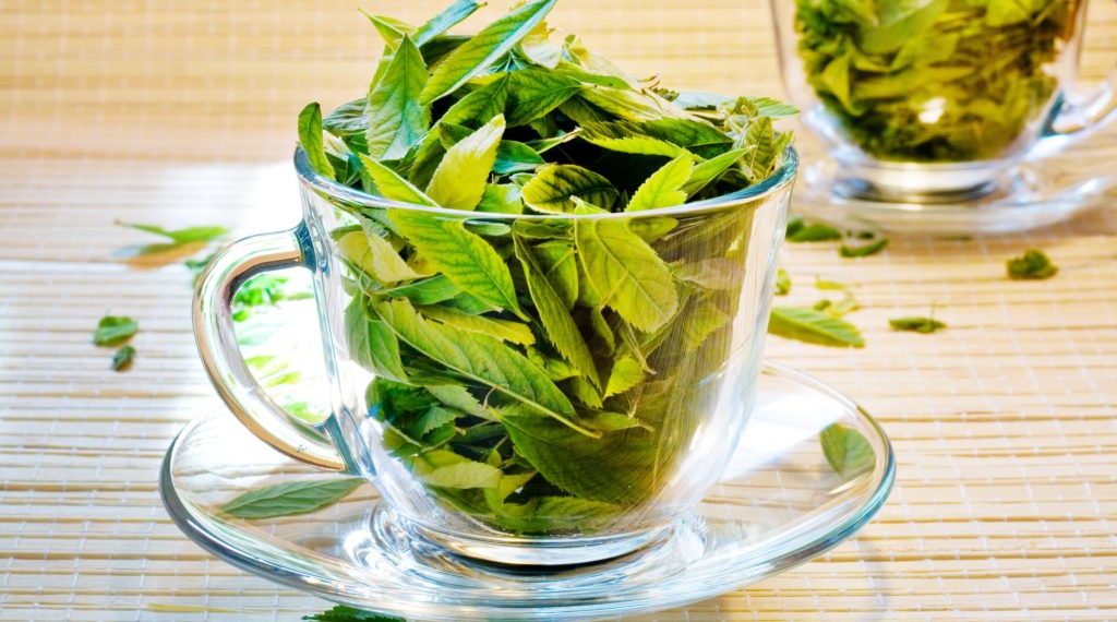 Лимонна вербена для чаю