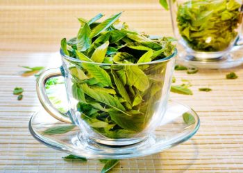 Лимонна вербена для чаю