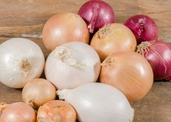 Цибуля очищує судини і знижує тиск