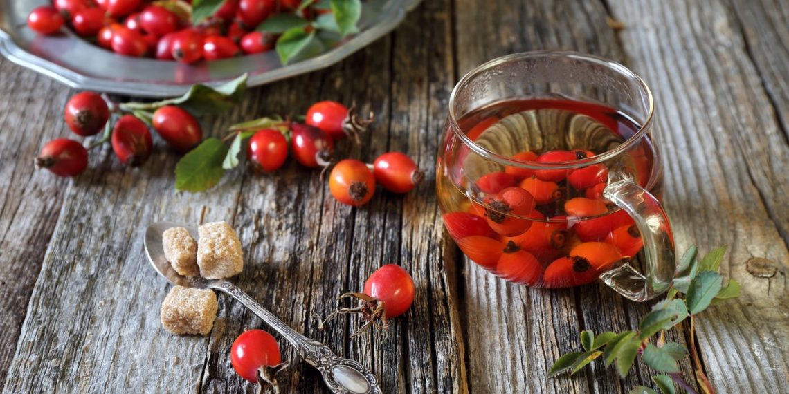 Шипшина компенсує брак вітамінів