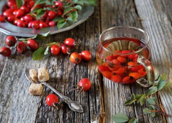 Шипшина компенсує брак вітамінів