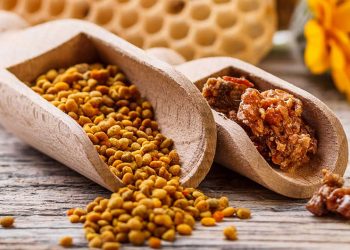 Настоянка прополісу — природний противірусний засіб