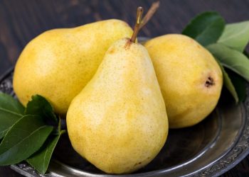 Велетенські груші: сорт чи результат догляду?