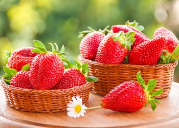 Досвід та любов – секрети щедрого врожаю садової суниці від нашої читачки