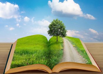 Де шукати та як знайти своє коріння