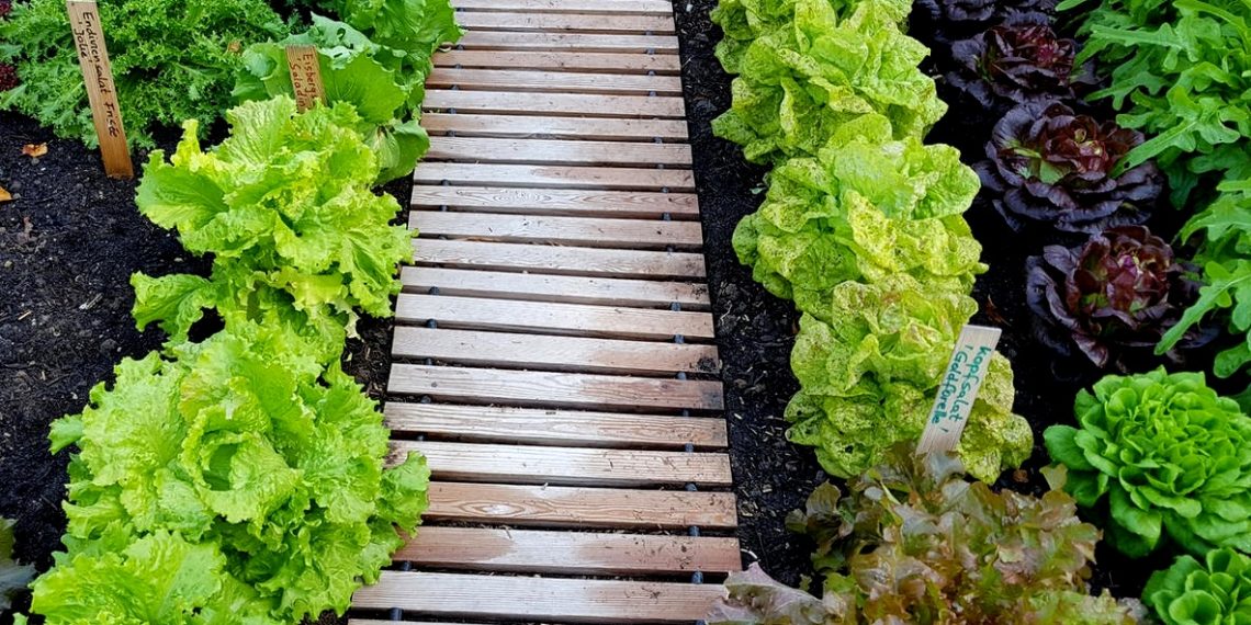 8 матеріалів для облаштування садових доріжок