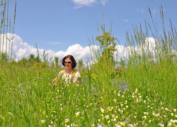 Місячний календар здоров’я та краси на червень