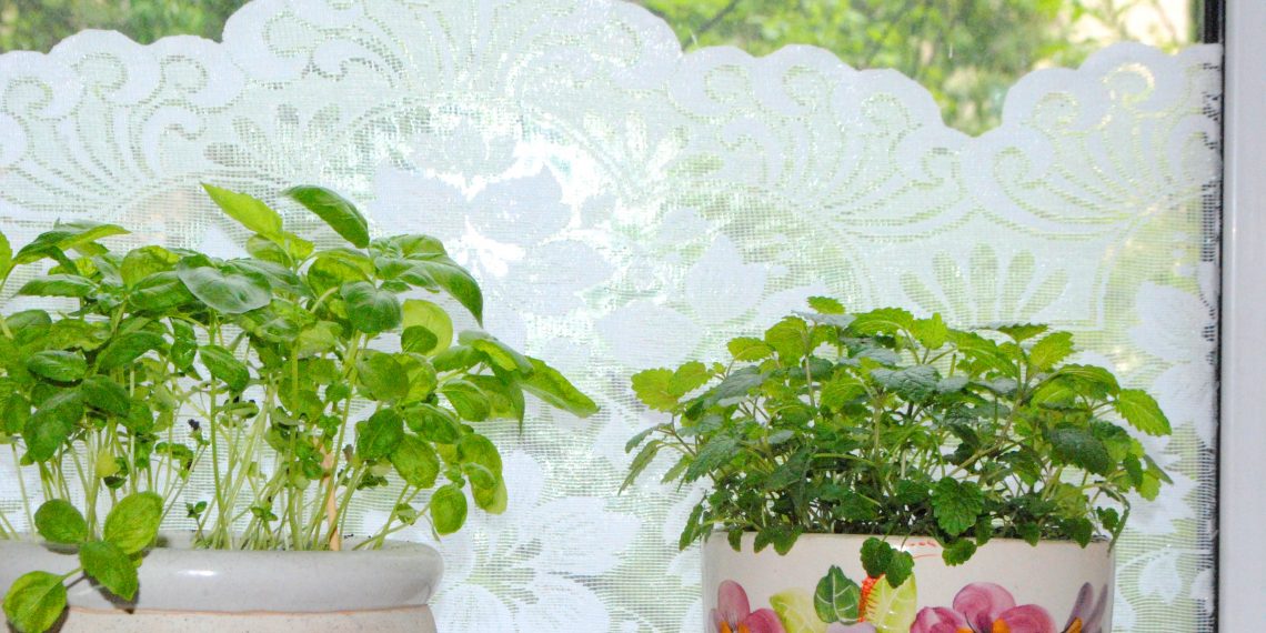 Мереживо на вікнах